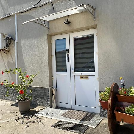 Evergreen Apartment Тимишоара Екстериор снимка