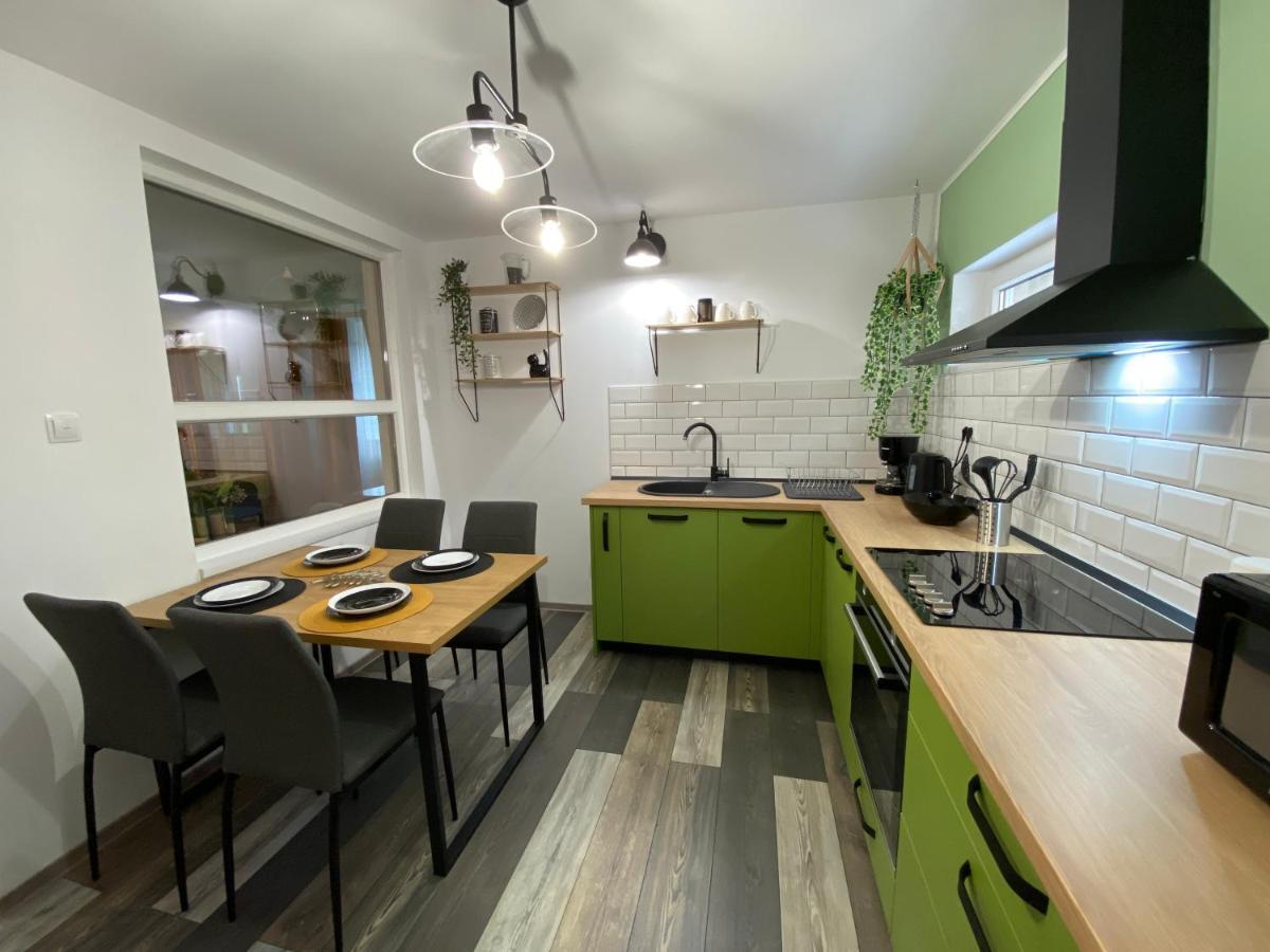 Evergreen Apartment Тимишоара Екстериор снимка